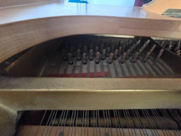 Steinway & Sons Model S French Provincial 1