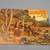 LLANO TEXAS BOOK, THAT SPOTTED SOW, signed by Carlos Ashley 3 thumbnail