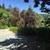 Beautiful home for rent in Castro Valley Heights 16 thumbnail