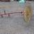 3 Wheel Hay Rake 4 thumbnail