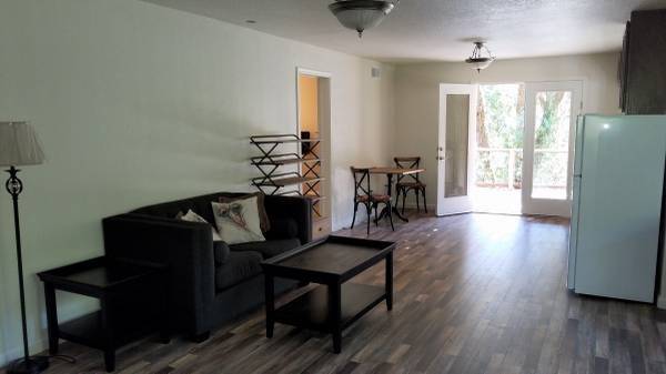 $1,550 / 500ft2 - $1,550 - Spacious Studio in the treetops of Forestville! (russian river)63785477286017120