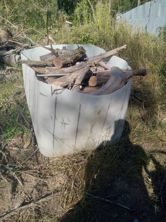 red oak firewood 1