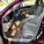 2009 Lexus ls460 v8 fully loaded 9 thumbnail