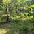 Castle Rock Lake/Lake Petenwell Area Camp/Cabin Land for Sale 6 thumbnail