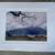 Keith (Guo Ji) Liang Original Photograph 1 thumbnail