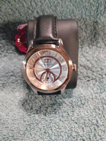 Sturhling Watch 1