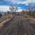 Road Re-Grading skid work 6 thumbnail