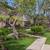 2 Swimming Pools, Controlled Access Gated Community, No Pet Deposit 1 thumbnail