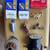 Older Car parts Keys Points, others. 1 thumbnail