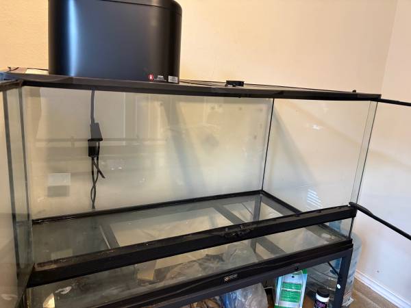 Ball python tank 1