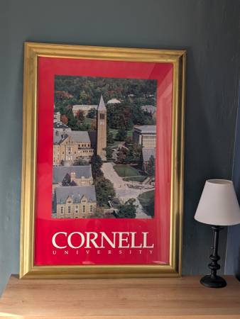 Large Cornell framed poster 1