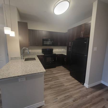 $1,139 / 1br - 650ft2 - 1X1 UNIT AVAILABLE (Houston)63906680939651121
