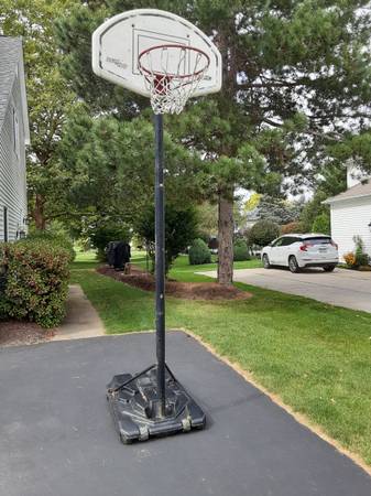 Free basketball hoop 1