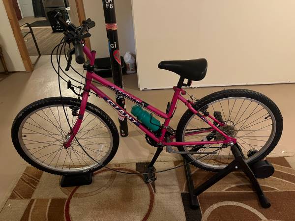 Bike & Exercise Wheel 1