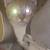 Orange Tabby Cat 7 thumbnail