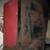 WILLYS JEEP CJ2A.3A,3B,M38, ETC LEFT FLAT FENDER/ USED 5 thumbnail