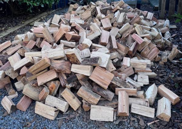 ***FIREWOOD*** 1