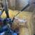 Meat, Breeding Gilts & Boar 15 thumbnail