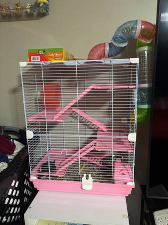 Hamster and supplies63843456192387121