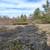 10 Acre Rural Residential Lot with Well, Hydro & Existing Structure 9 thumbnail