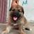 PUPS    GS / Mix 1 thumbnail
