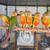 Tame Conure 4 thumbnail