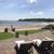 Stunning Views from Beachfront House in Manchester-by-the-Sea! 3 thumbnail