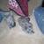 3 kittens need rehomed asap ( small rehoming fee) 3 thumbnail