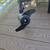 Minn Kota Endura C2 Trolling Motor 3 thumbnail