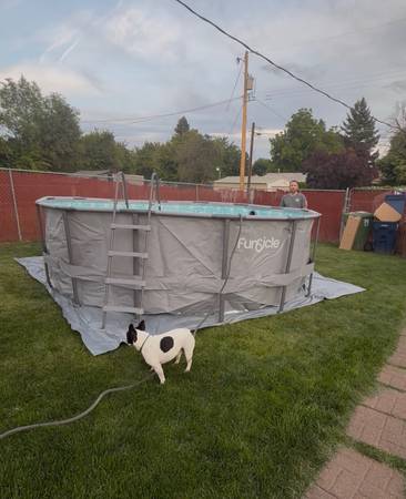 Funsicle pool 1