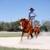 Horse training 3 thumbnail