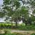 NICE FLAT LOT FOR SALE NEAR LOS ARROYOS VERDES 1 thumbnail