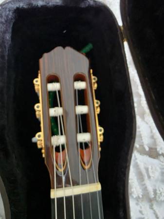 Classical Acoustic-Electric Guitar 1