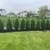 EVERGREEN SCREENING. HEDGES, PRICACY WALLS ETC 1 thumbnail