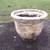 decorative planter 2 thumbnail