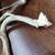 Deer Skull And Game Call Rattle Antlers 3 thumbnail