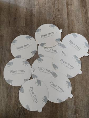 Flea Trap Refill Disc For Sale (Set Of 9) 1