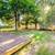 Updated Ranch w. Sunroom, Fireplace & Garage in South Burlington 10 thumbnail