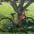 TREK 820 SingleTrack Small Adult Bike 11 thumbnail