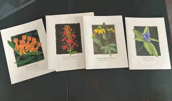 70+ Greeting Cards 1