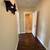 Half Month Free!-206-723 Field St-1 Bedroom Apartment 7 thumbnail