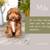 Two Adorable Mini Cockapoo Boys 2 thumbnail