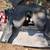 Trailer hitch ( Fifth wheel)!!! 2 thumbnail