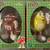 Kurt S. Adler Christmas Ornament 2008 Red & Yellow M&M 2008 Collection 1 thumbnail