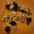 Quails, Fertilized Hatching Quail Eggs of multiple rare colors 5 thumbnail