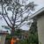 Tree Trimming/ Tree Removal 831- 588 -2585 4 thumbnail
