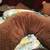 Luna Lullaby Bosom Baby Nursing Pillow 2 thumbnail