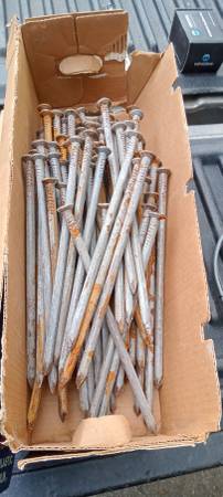 10 X 3/8 Spike Nails 1