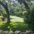 Southwest Greens by Shaw Industries High End Turf Blowout!!! 10 thumbnail