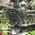 Quintanana Roo kilo Roed Bike 13 thumbnail